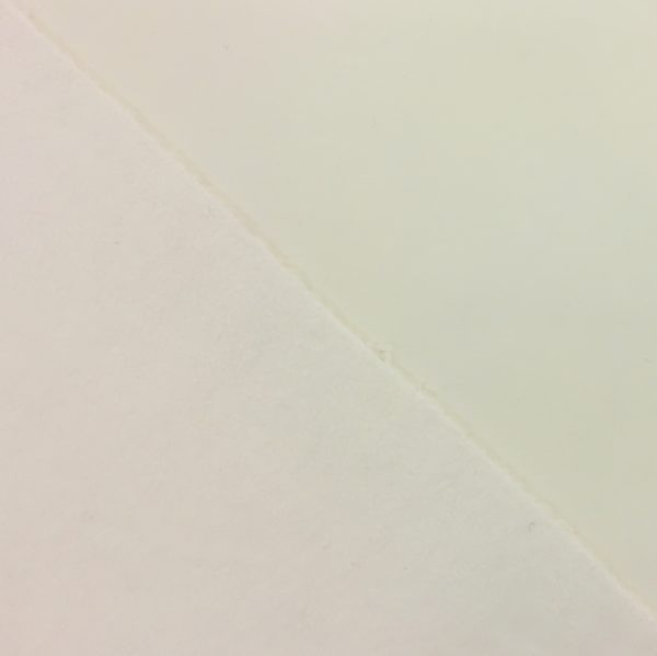 Fleece Backed Soft Shell Fabric - Cream