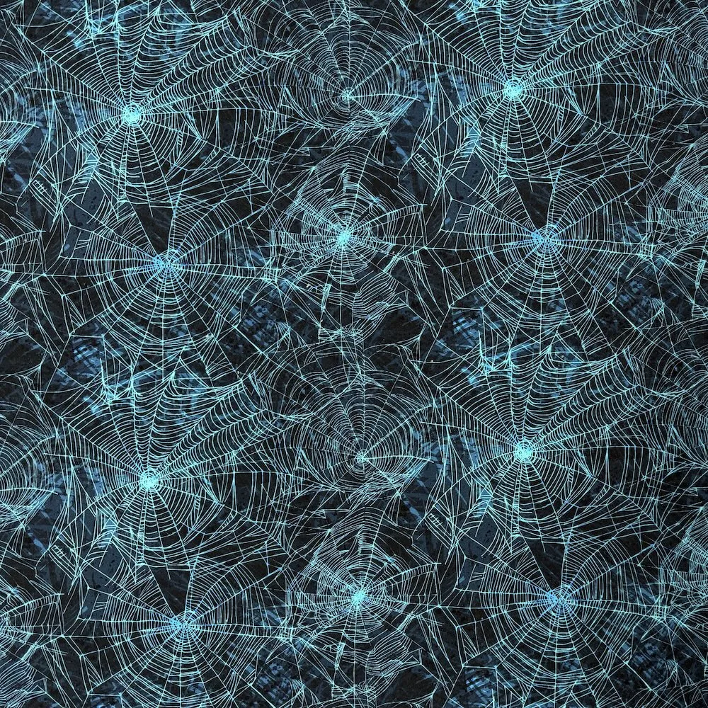 Little Johnny Cotton Lycra Jersey - Spiderwebs - Image 5